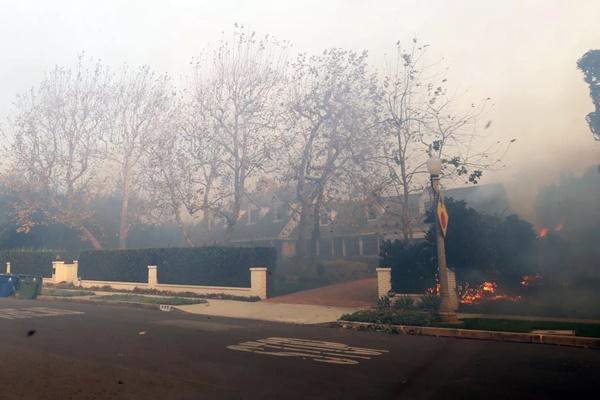 Rumah Cobie Smulders dan Taran Killam di Pacific Palisades. (FOTO: BACKGRID) 