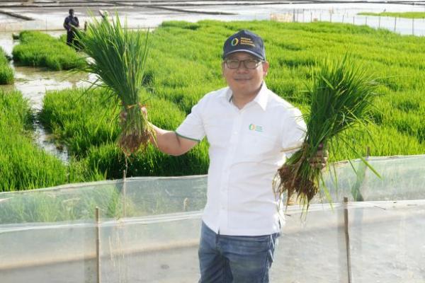 Kepala Badan Pangan Nasional/National Food Agency (NFA)  Arief Prasetyo Adi (foto:NFA) 