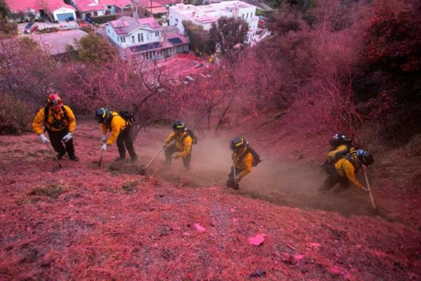 Petugas pemadam kebakaran bekerja membersihkan sekat api saat kebakaran di Mandeville Canyon, sebuah kawasan di Los Angeles, California, AS, 12 Januari 2025. REUTERS 