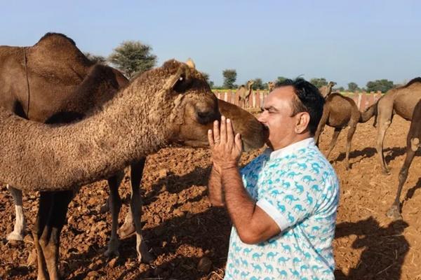 Konservasionis Hanuwant Singh Sadri mencium seekor unta di distrik Pali, Rajasthan. (FOTO: AL JAZEERA) 