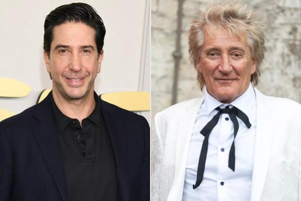 Momen tak Terlupakan David Schwimmer Berjumpa Pertama Kali dengan Rod Stewart, `Untung tak Bertemu Lagi`. (FOTO: GETTY/WIREIMAGE) 