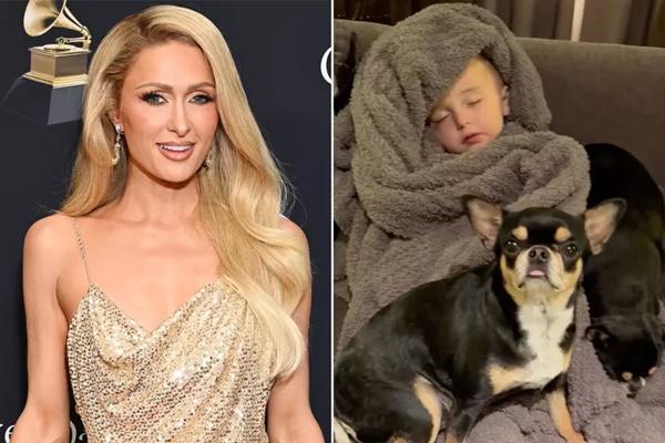 Rumahnya Musnah Terbakar, Paris Hilton Menikmati Momen Berharga dengan Anak-anak dan Anjingnya. (FOTO: GETTY/INSTAGRAM) 