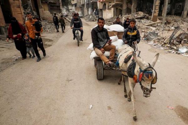 Warga Palestina mengangkut pasokan bantuan dengan kereta yang ditarik hewan, di Kota Gaza, 3 Februari 2025. REUTERS 