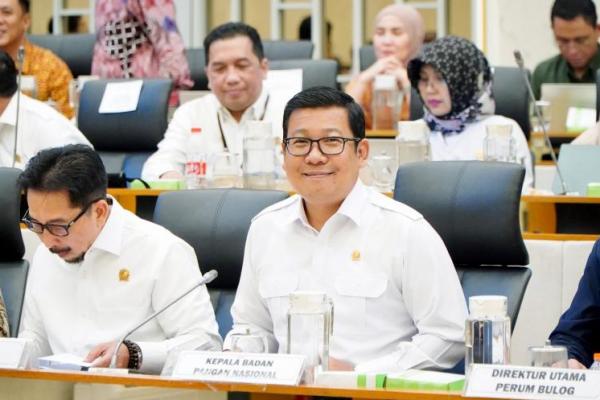 Kepala Badan Pangan Nasional/National Food Agency (NFA)  Arief Prasetyo Adi dalam Rapat Dengar Pendapat (RDP) dengan Komisi IV DPR-RI, Selasa (4/2/2025). (foto:NFA) 