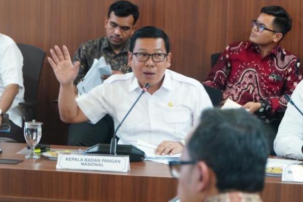 Kepala Badan Pangan Nasional/National Food Agency (NFA)  Arief Prasetyo Adi  