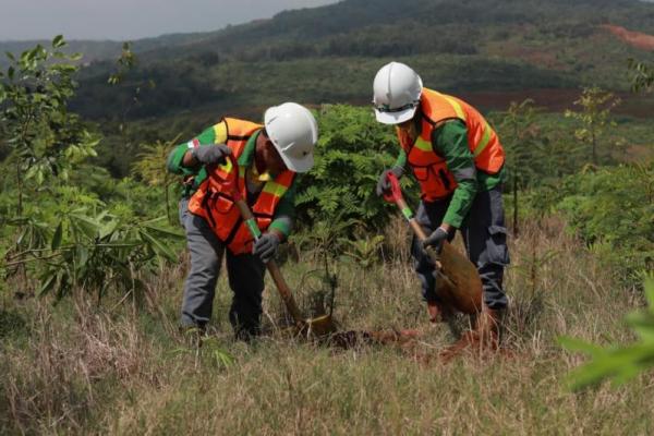 Pemanfaatan plastik daur ulang sebagai mulsa atau media tanam (Foto: Ist) 