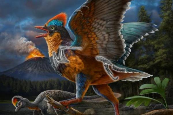 Rekonstruksi kehidupan burung Periode Jurassic Baminornis zhenghensis terlihat dalam ilustrasi yang dirilis pada 12 Februari 2025. Handout via REUTERS 