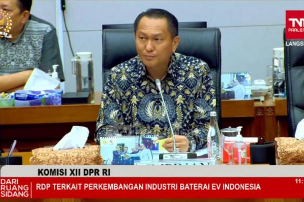 DPR Dukung Pembentukan Ekosistem Industri Baterai EV Indonesia