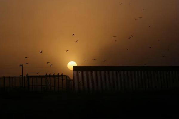 Burung terbang saat matahari terbit di dekat jembatan perbatasan Zaragoza-Ysleta, di Ciudad Juarez, Meksiko 4 Maret 2025. REUTERS 