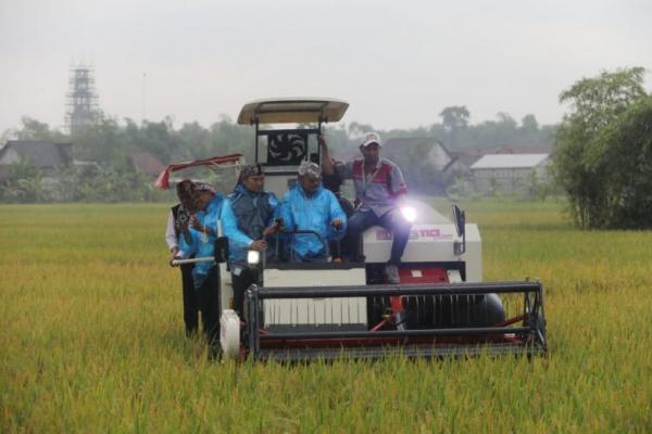 Panen Raya Padi di Lamongan Capai 7,3 Ton Per Hektar