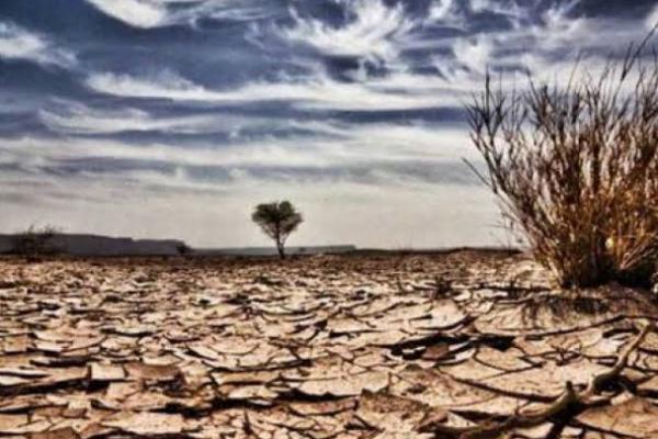 Antisipasi Dampak El Nino,  NFA Lakukan Langkah Ini