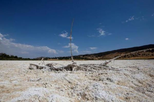 Temuan Peneliti Menyebut Lebih dari Separuh Danau Besar Dunia Mengering