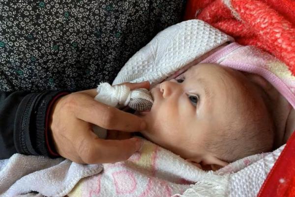 Roti Pakan Burung dan Kurma Terbungkus Kain Kasa, Jadi Makanan Bayi Gaza